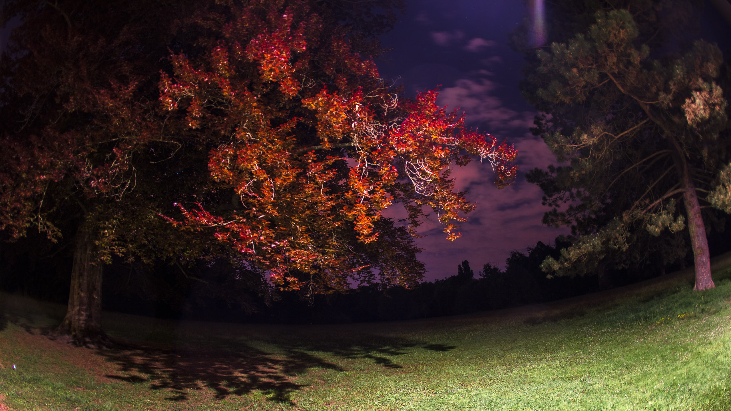 20220508000550 DP017493